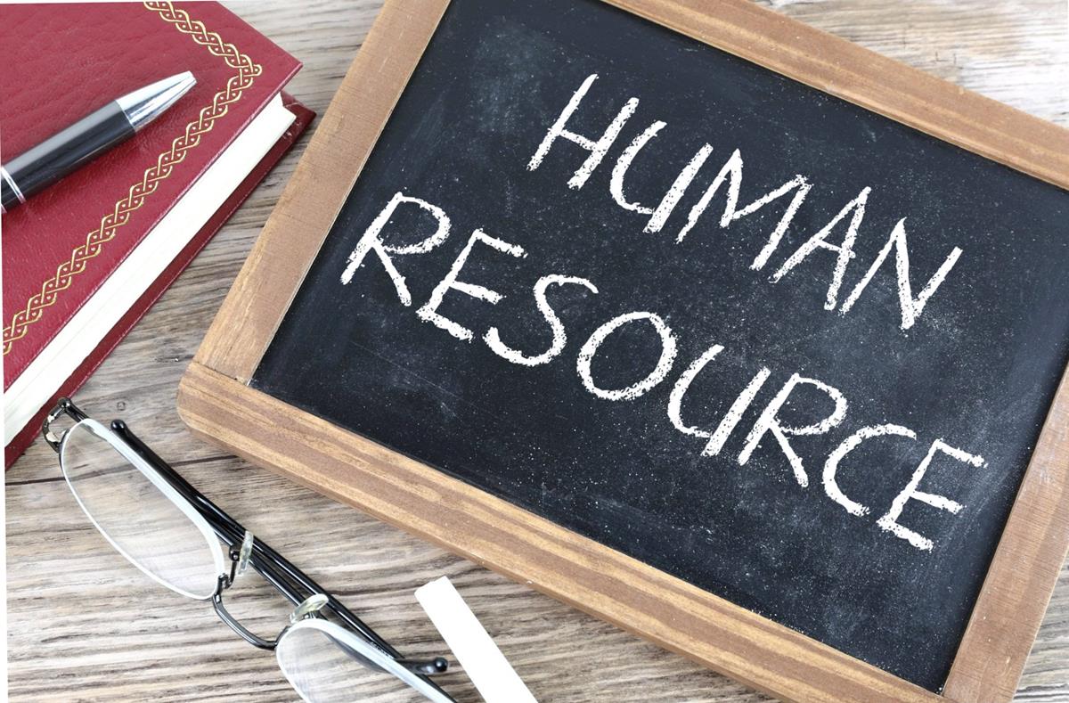 HUMAN RESOURCE DEVELOPMENT  AND MANAGEMENT